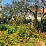 The Whole Mario's House For Rent Jelsa (Hvar)