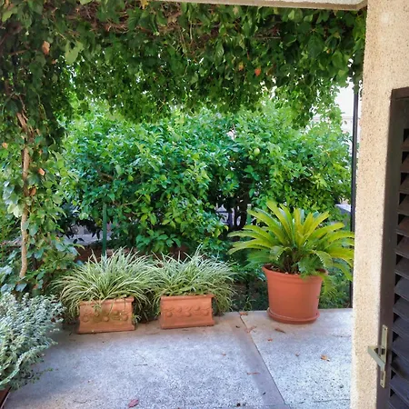 Holiday home The Whole Mario's House For Rent Jelsa (Hvar)