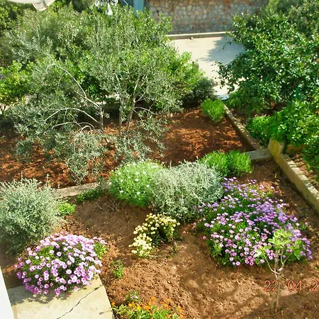 The Whole Mario's House For Rent Jelsa (Hvar)